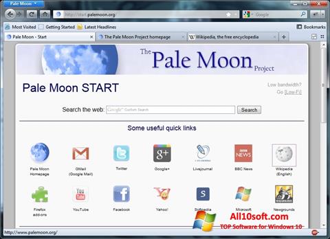 Ekran görüntüsü Pale Moon Windows 10