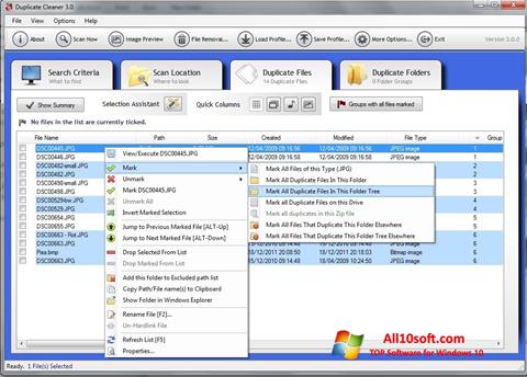 Ekran görüntüsü Duplicate Cleaner Windows 10
