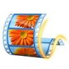 Windows Live Movie Maker Windows 10